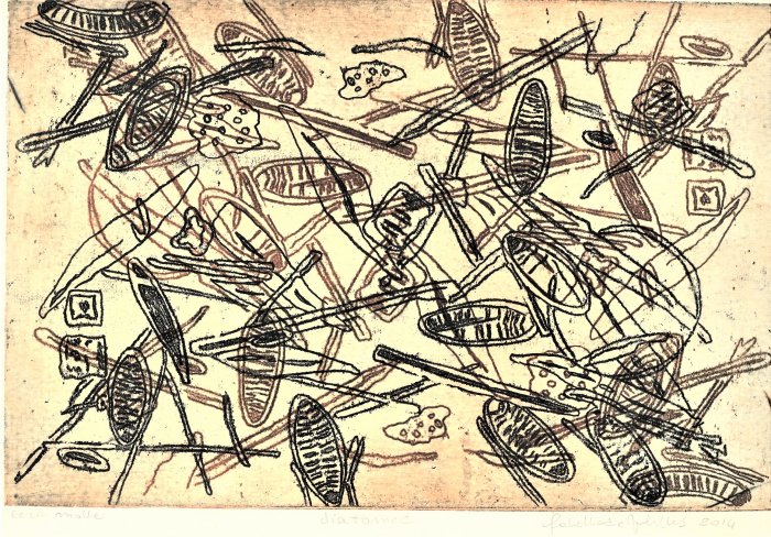 DIATOMEE cera molle (2)