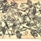 DIATOMEE cera molle (2)