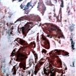 FUCSIE   collograph