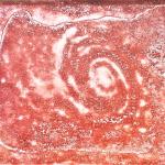 GALASSIA   corrosioni
