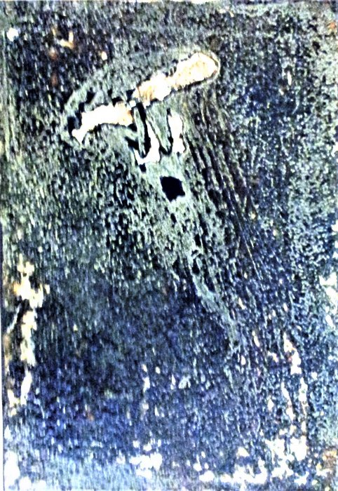 MEDUSA   corrosioni 
