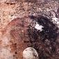 LA FORMICA SULLA LUNA   cera molle acquatinta      lastra di alluminio 